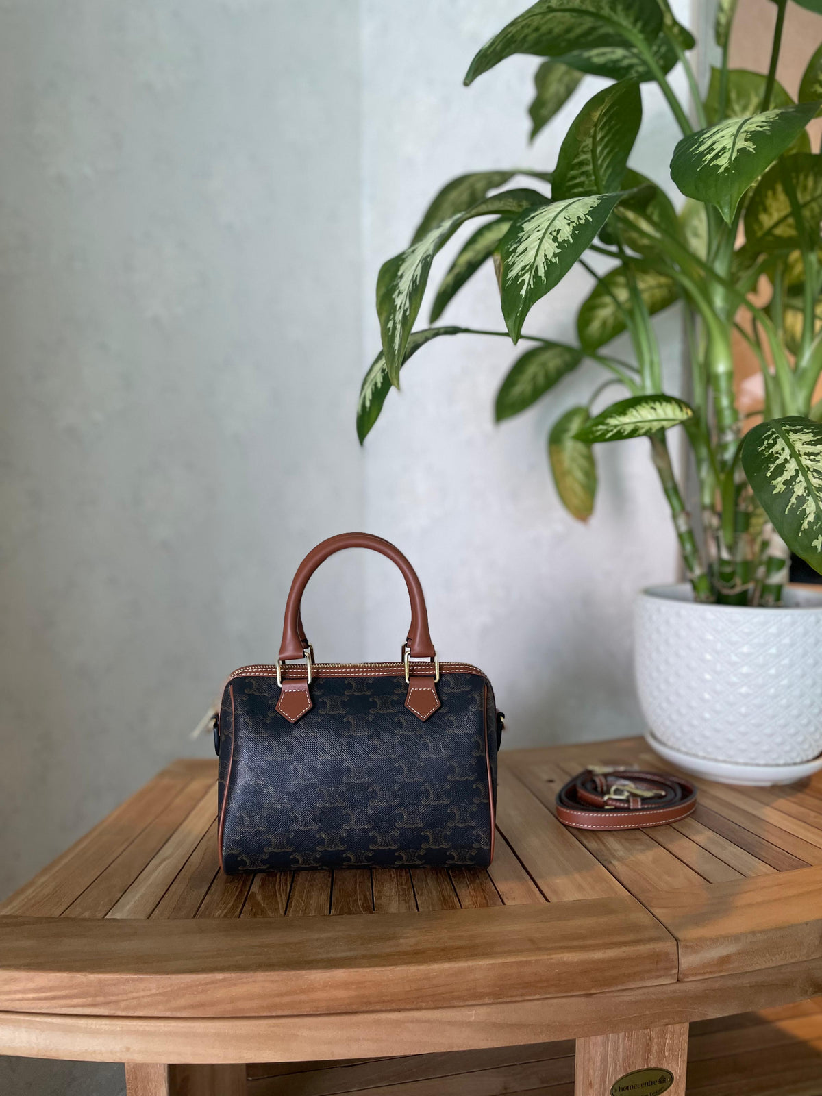 Celine Triomphe Canvas