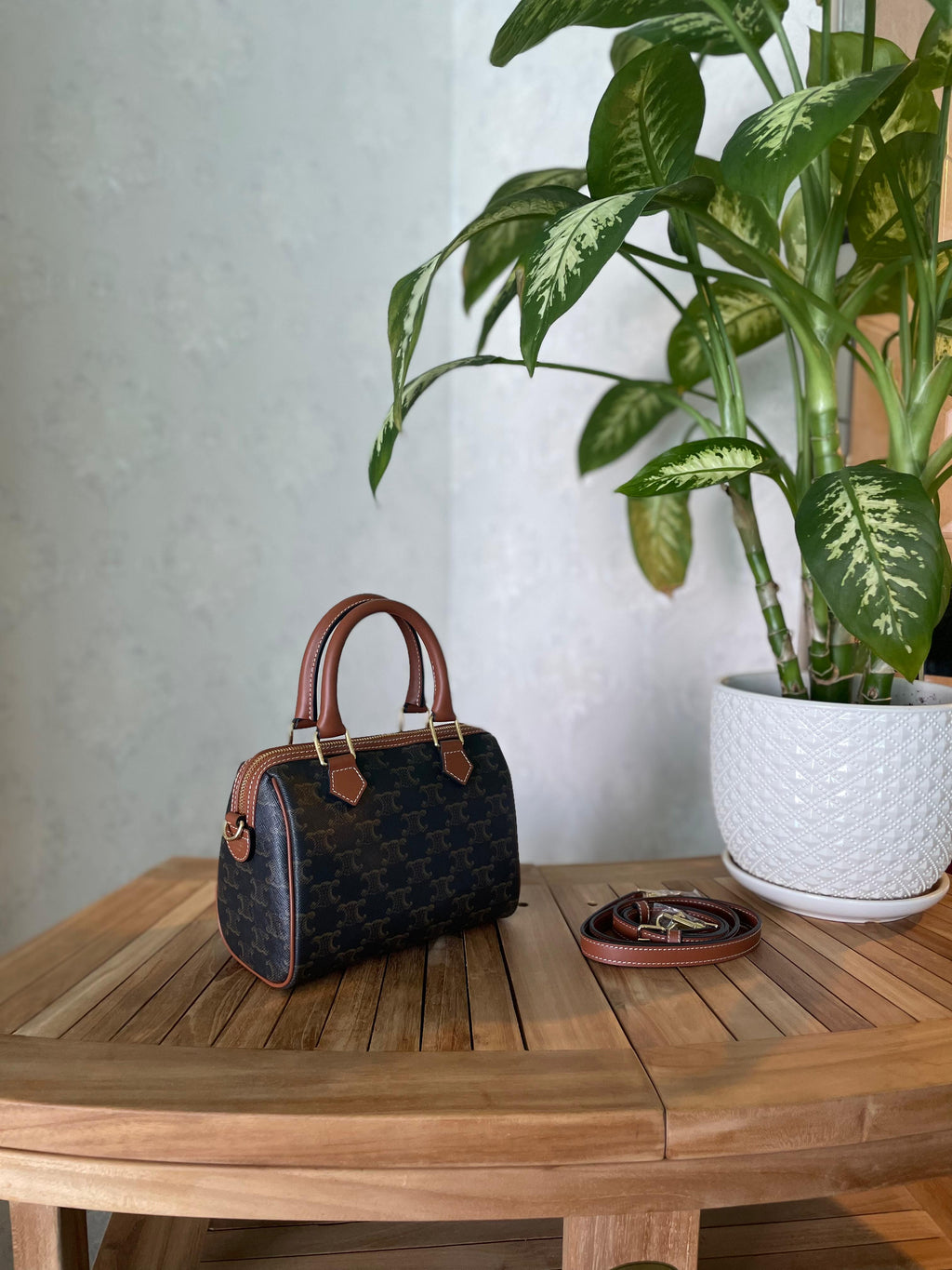 Celine Triomphe Canvas