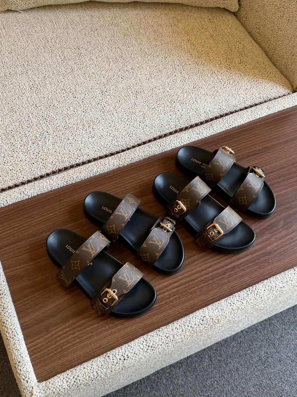 Louis Vuitton  Monogram