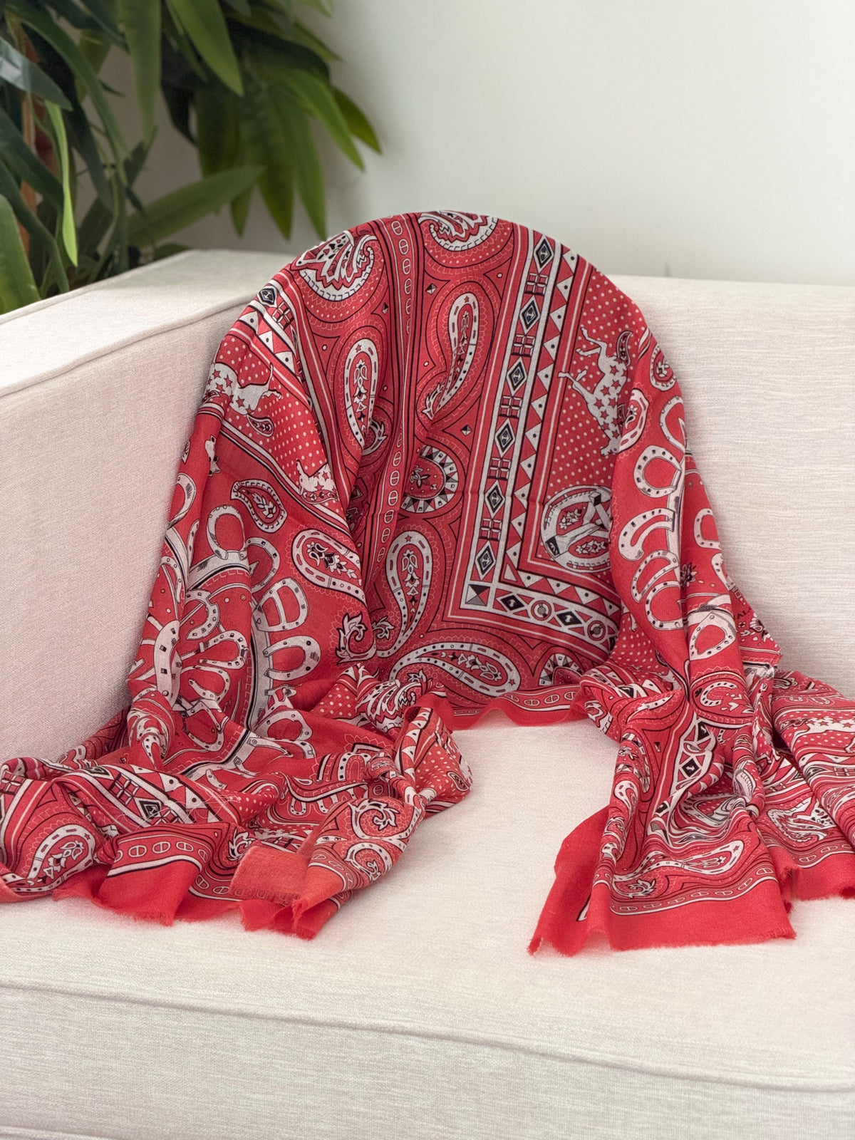 Geometric Border Paisley Shawl