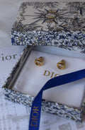 Dior Earrings