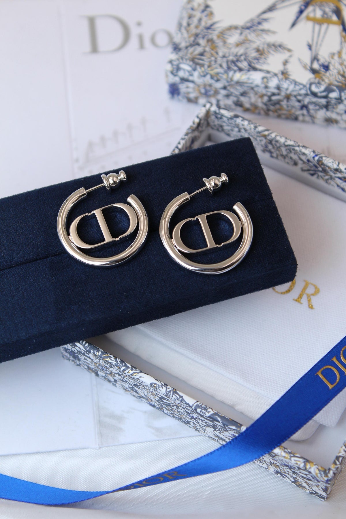 Dior Earrings