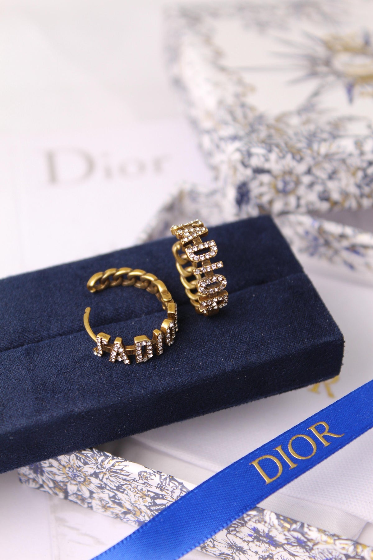 Dior Earrings