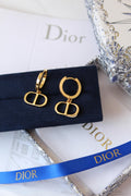 Dior Earrings