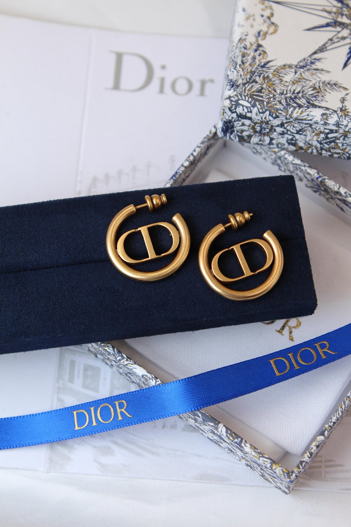 Dior Earrings
