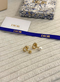 Dior Earrings