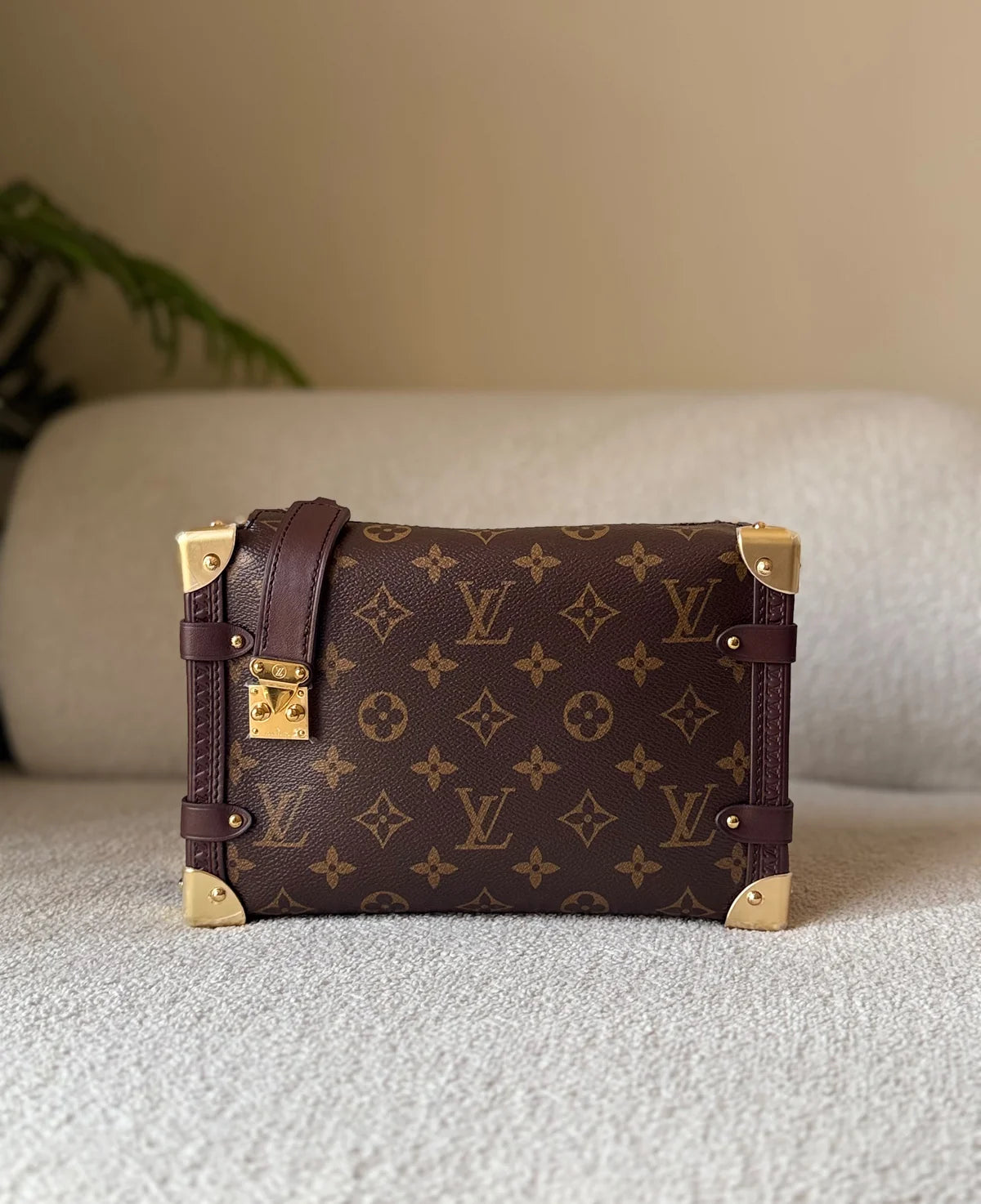 Louis Vuitton Side Trunk MM Bag
