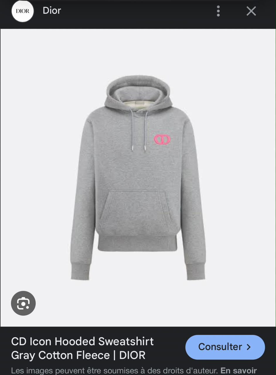 DIOR HOODIE