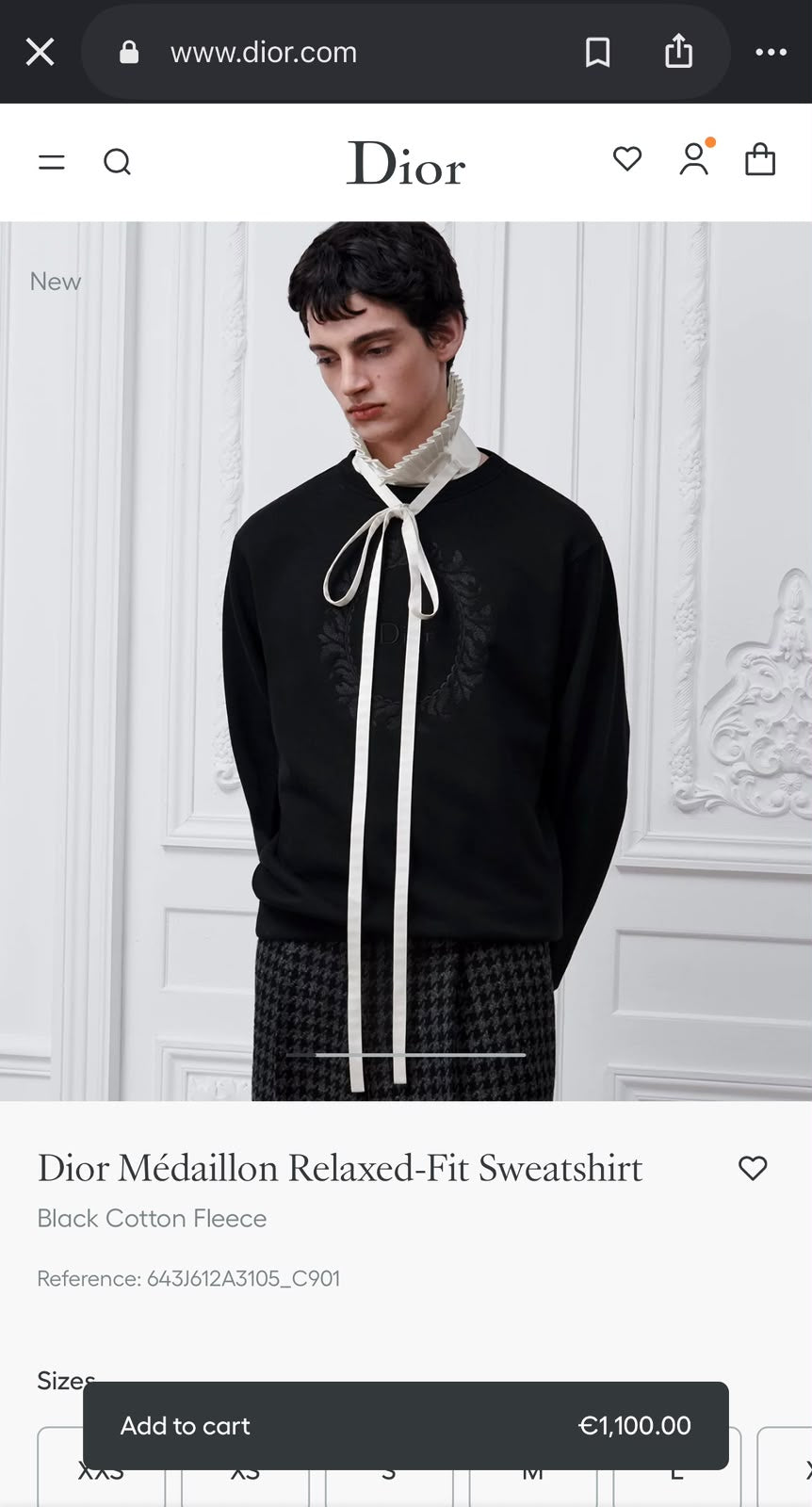 Dior Floral / Wreath Embroidered Crewneck Sweatshirt