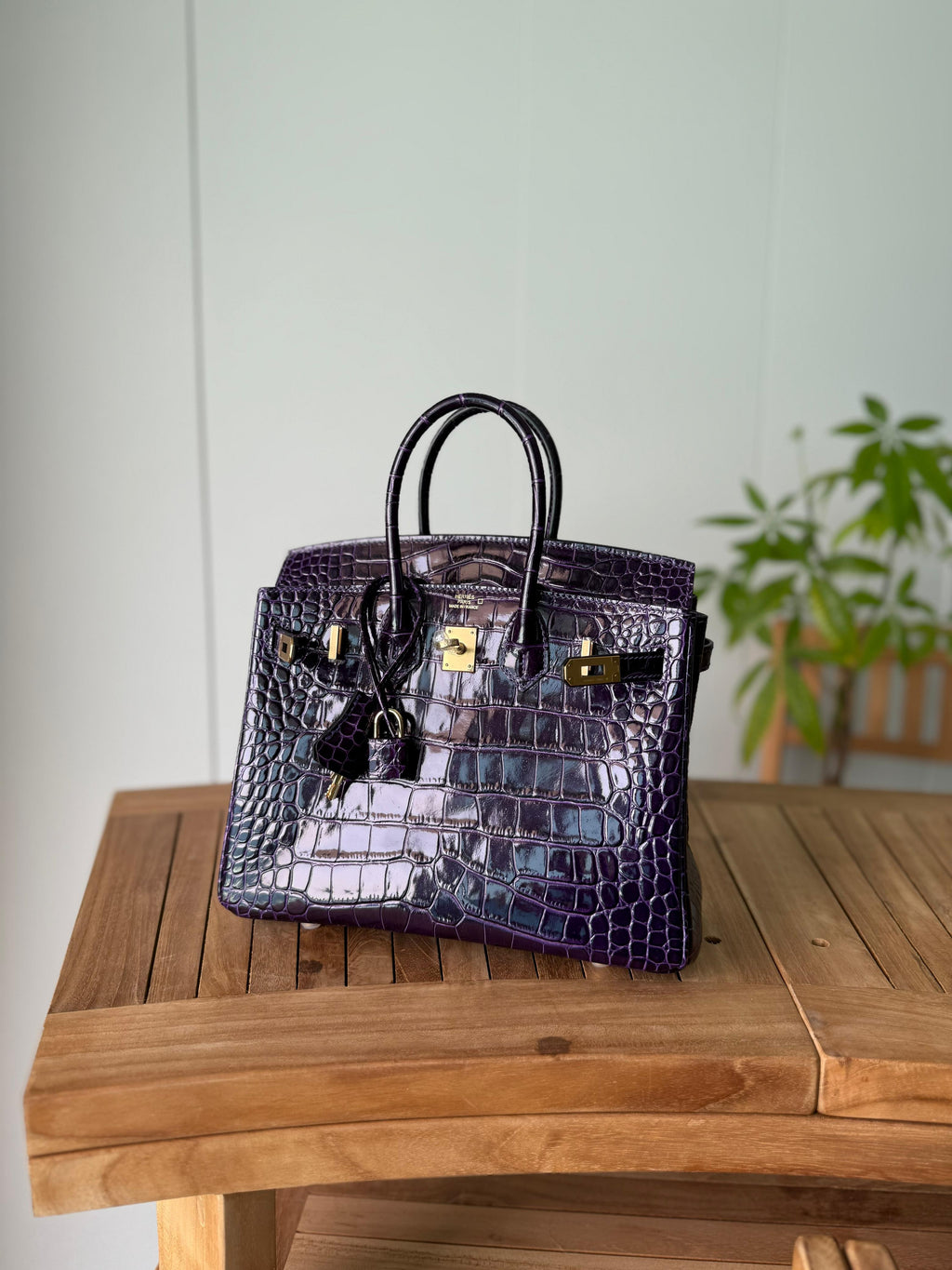 Hermès Birkin Bag 25 cm