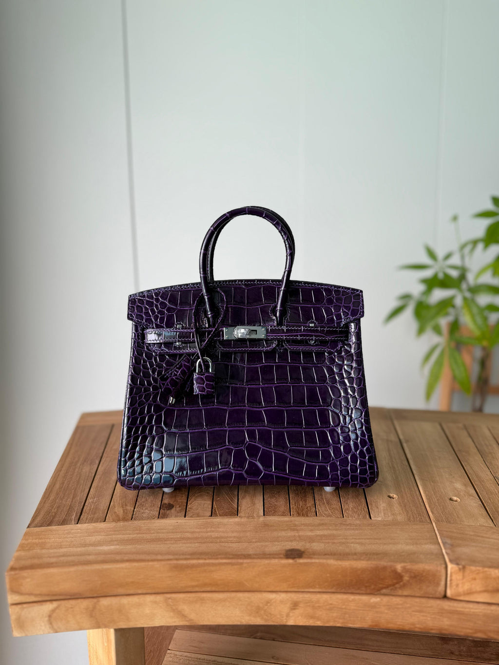 Hermès Birkin Bag 25 cm