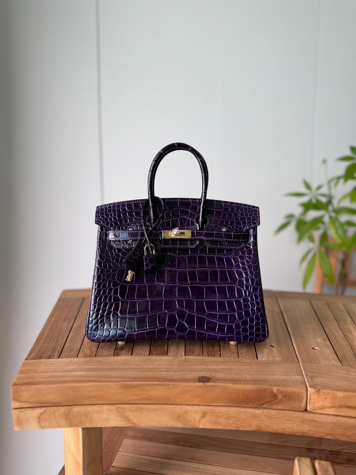 Hermès Birkin Bag 25 cm