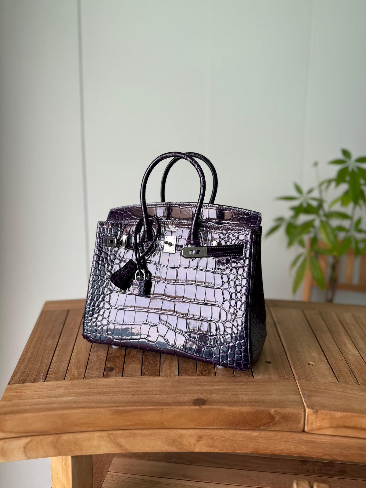 Hermès Birkin Bag 25 cm