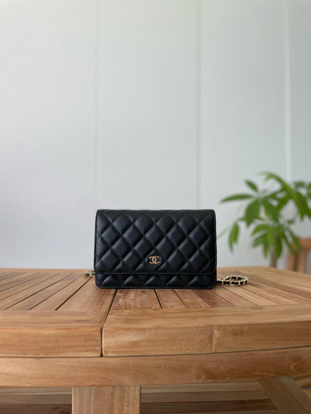 Chanel Quilted Flap Bags