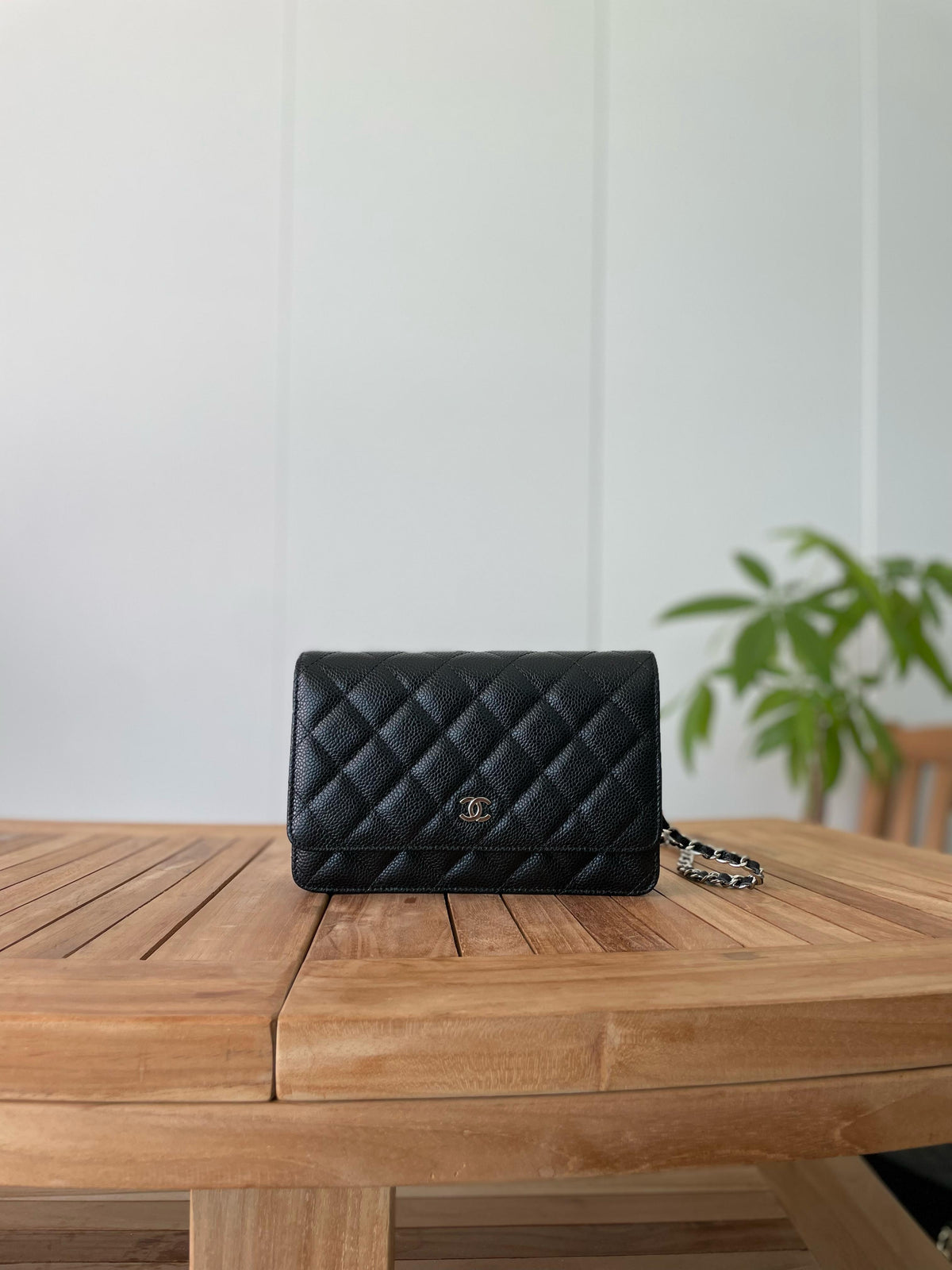 Chanel Quilted Flap Bags