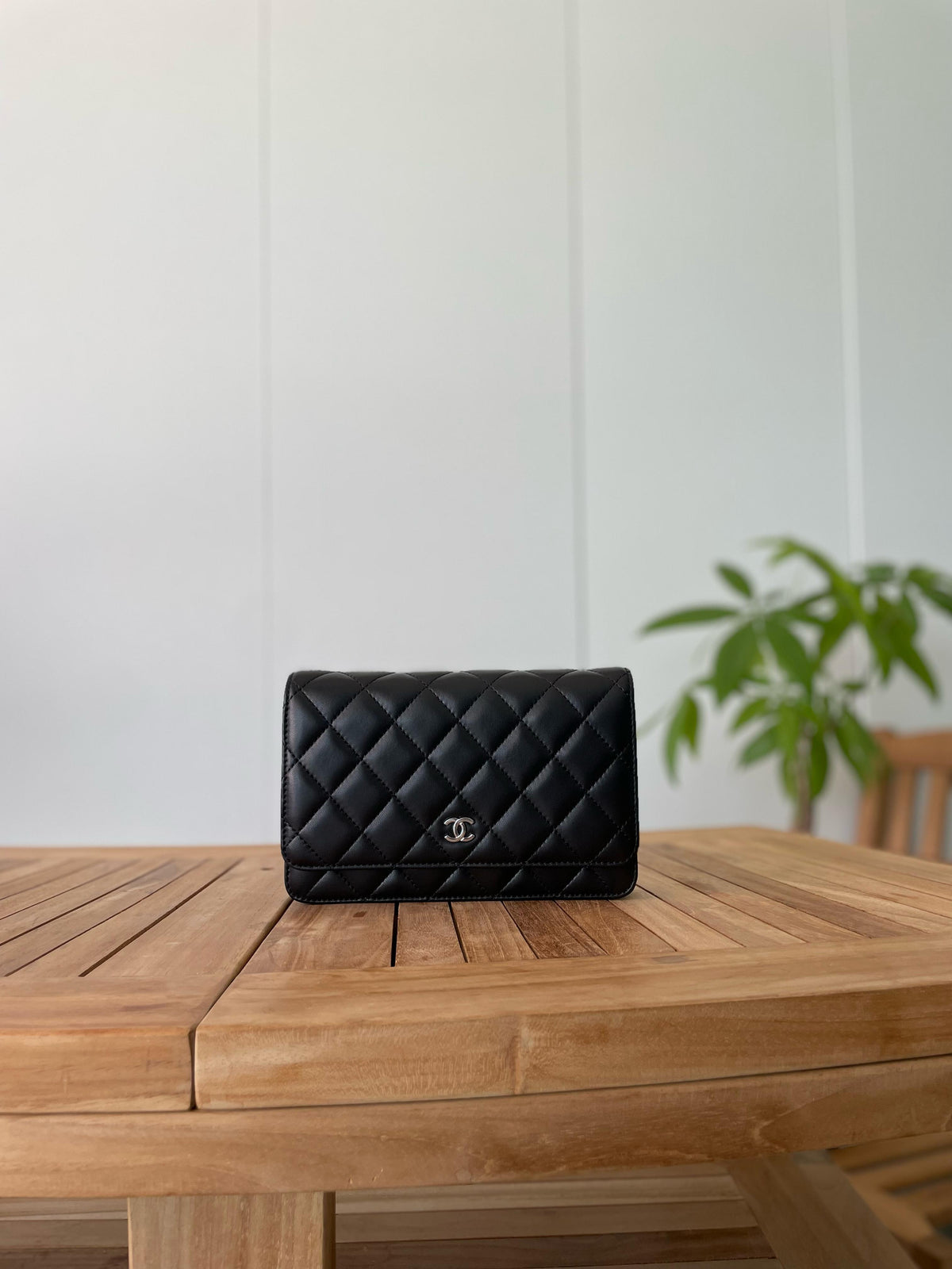 Chanel Quilted Flap Bags