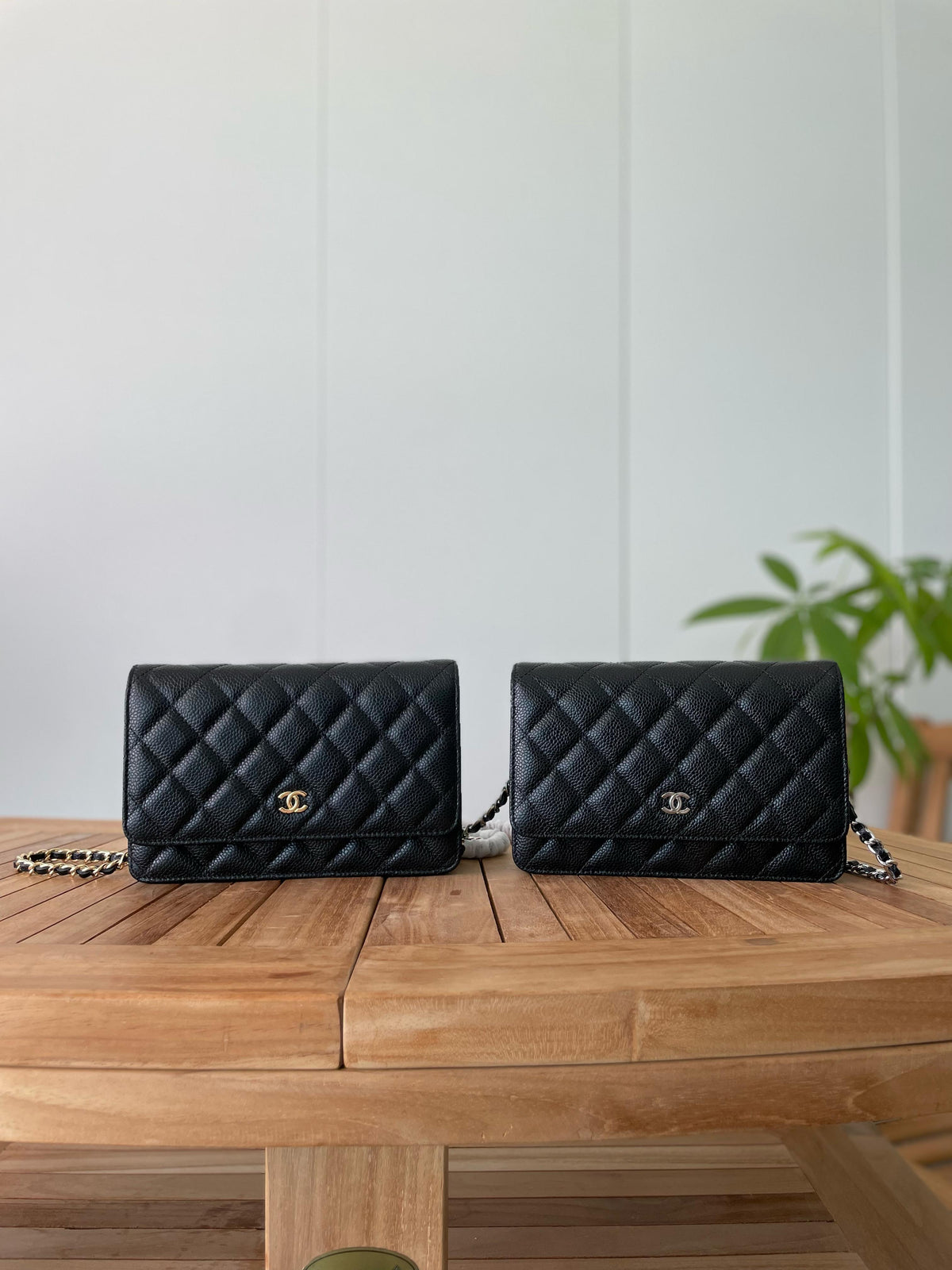 Chanel Quilted Flap Bags