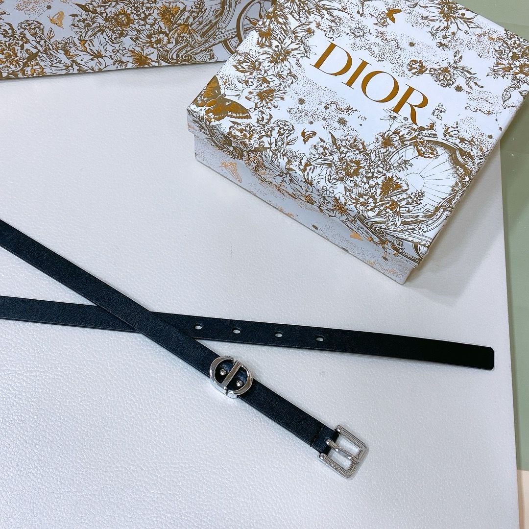 dior belts