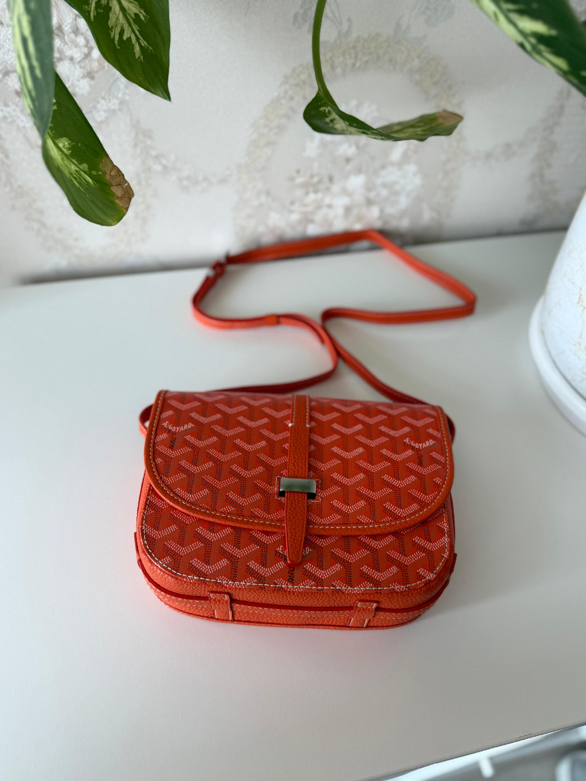 Goyard Belvedere Bag