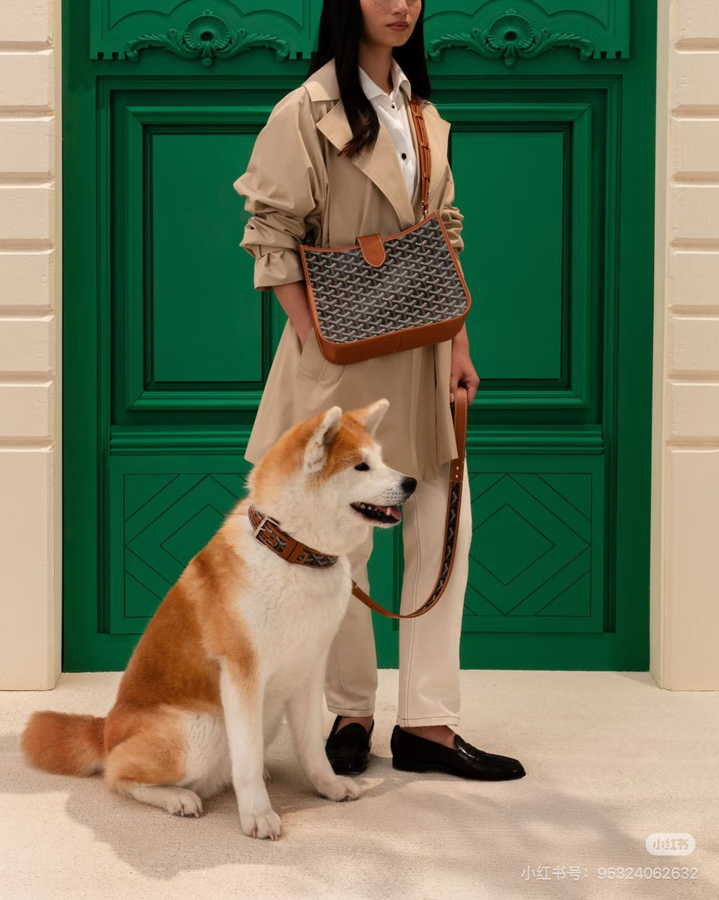 Goyard Crossbody / Shoulder Bag