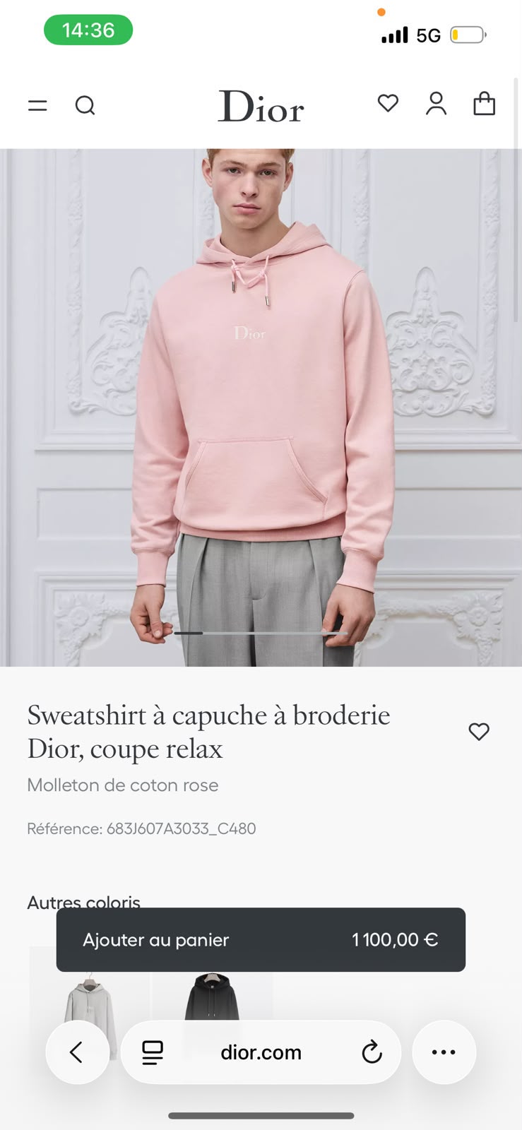 Dior Embroidered Logo Hoodie