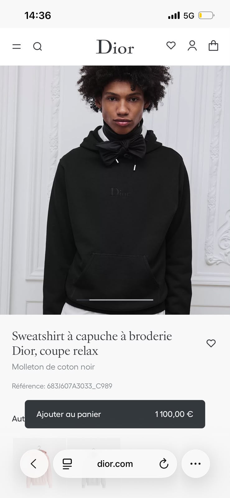 Dior Embroidered Logo Hoodie