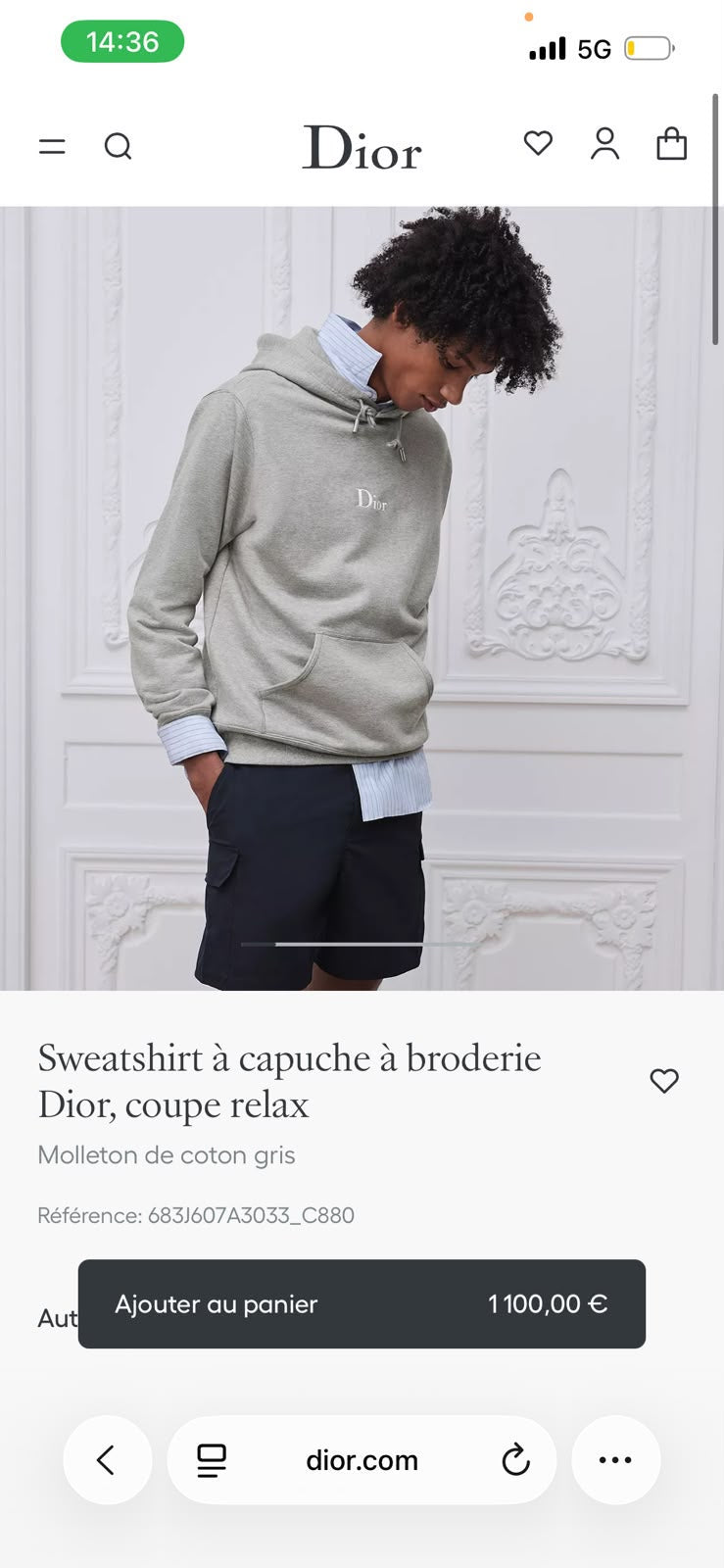 Dior Embroidered Logo Hoodie