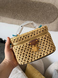 Louis Vuitton Vanity Chain Pouch in Raffia Bag