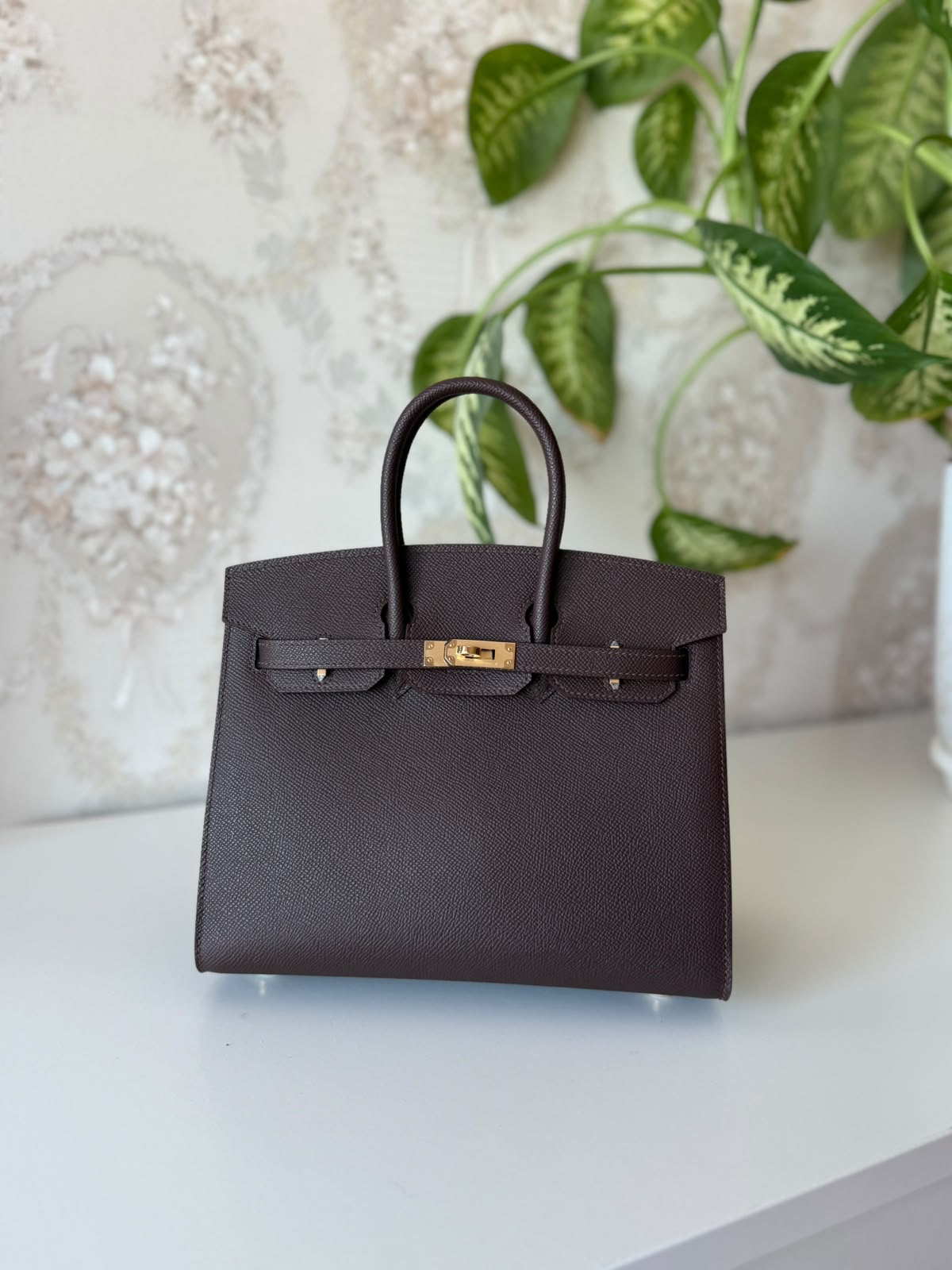 Hermès Birkin Bag 25 cm