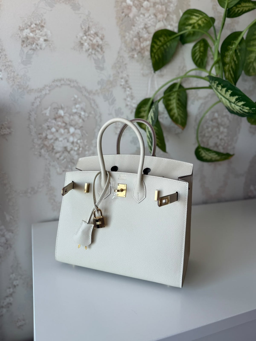 Hermès Birkin Bag 25 cm