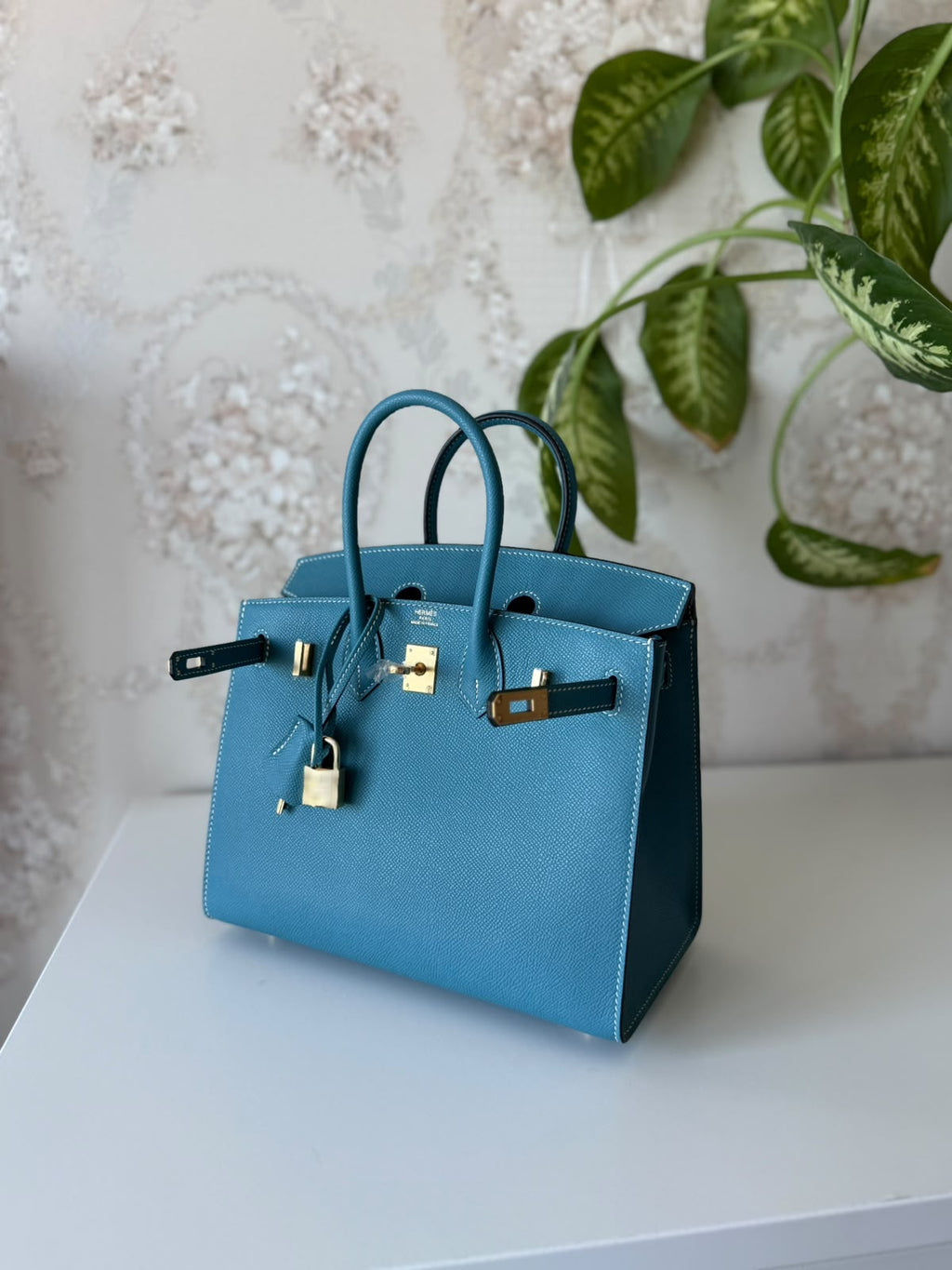 Hermès Birkin Bag 25 cm