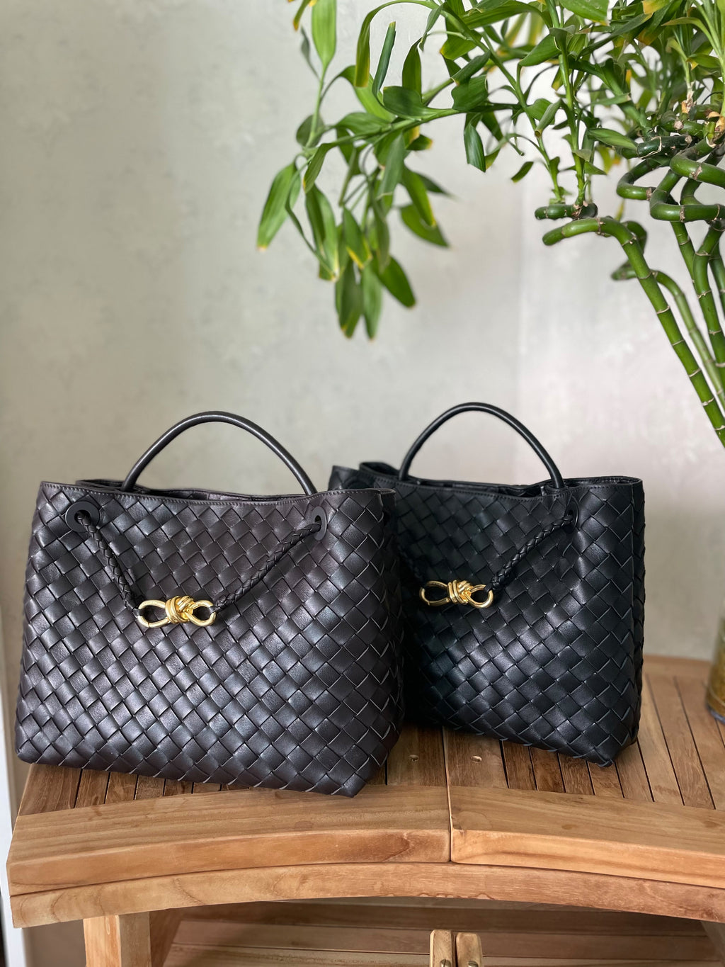 Bottega Veneta Andiamo Tote