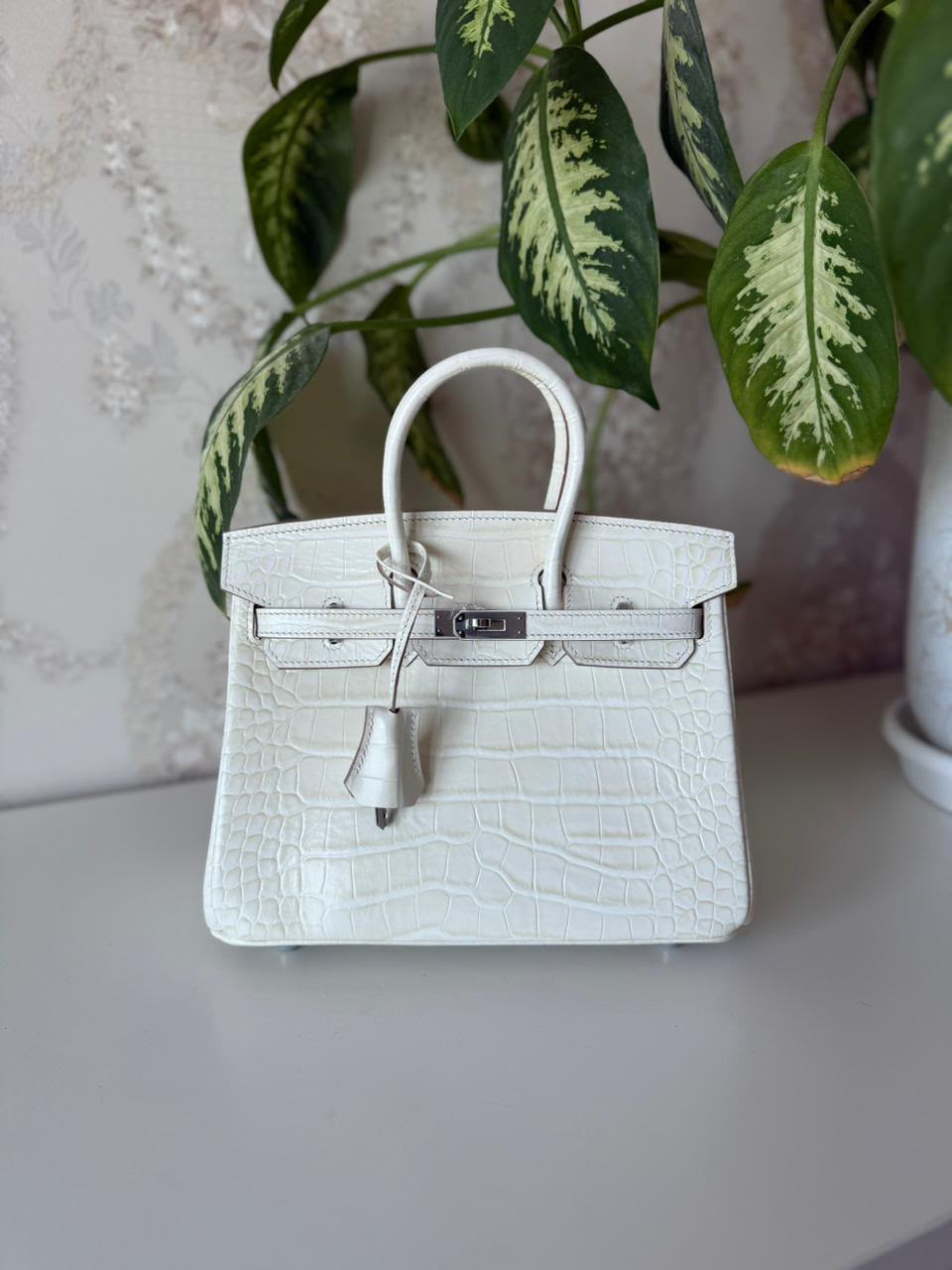 Hermès Birkin Bag).