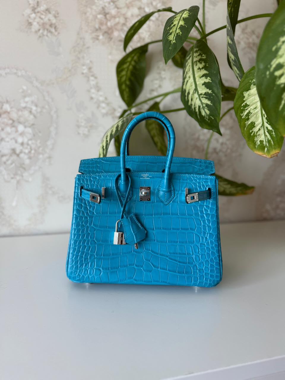 Hermès Birkin Bag).