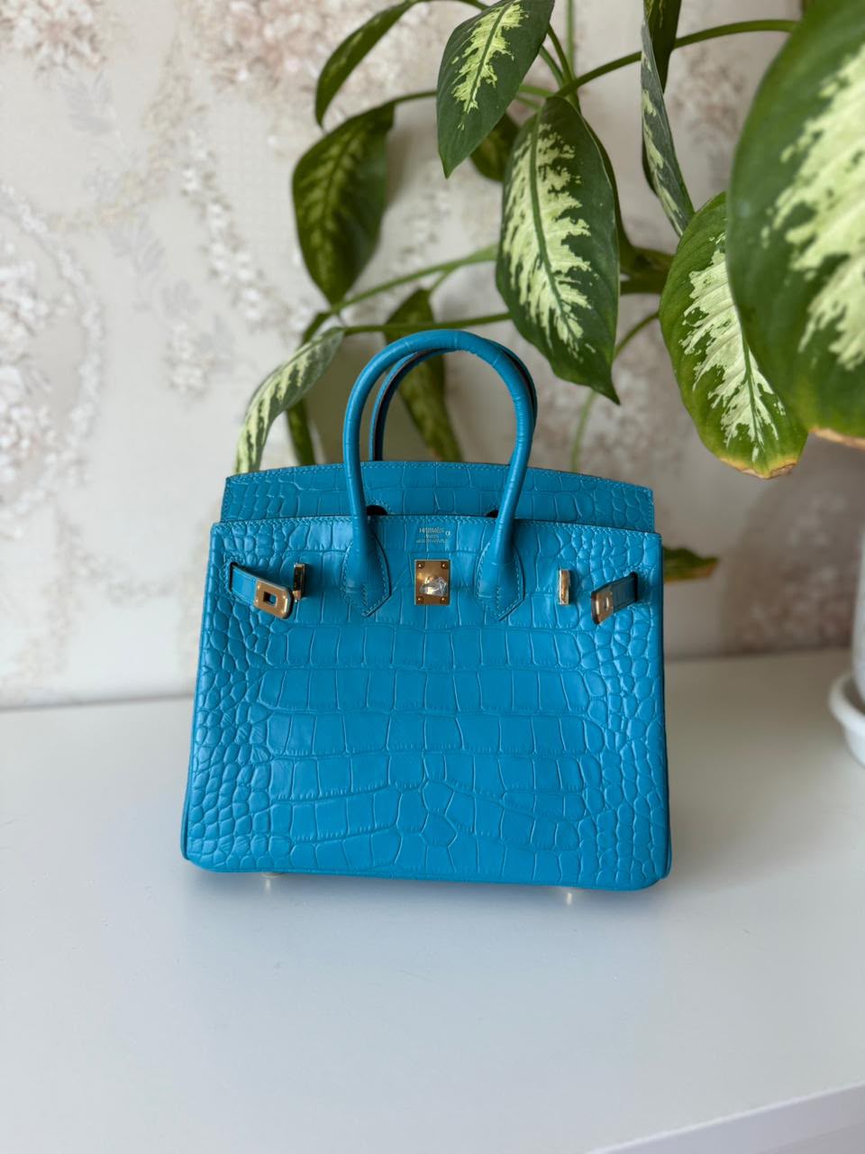 Hermès Birkin Bag).
