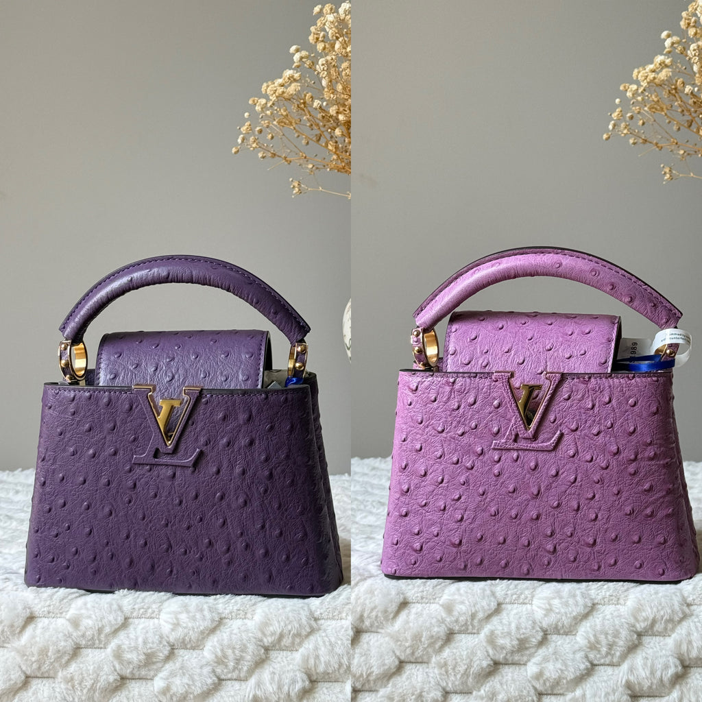 Louis Vuitton Capucines Mini Bag in Ostrich Leather with Gold-Tone LV