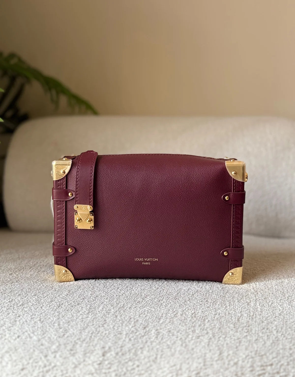 Louis Vuitton Side Trunk MM Bag