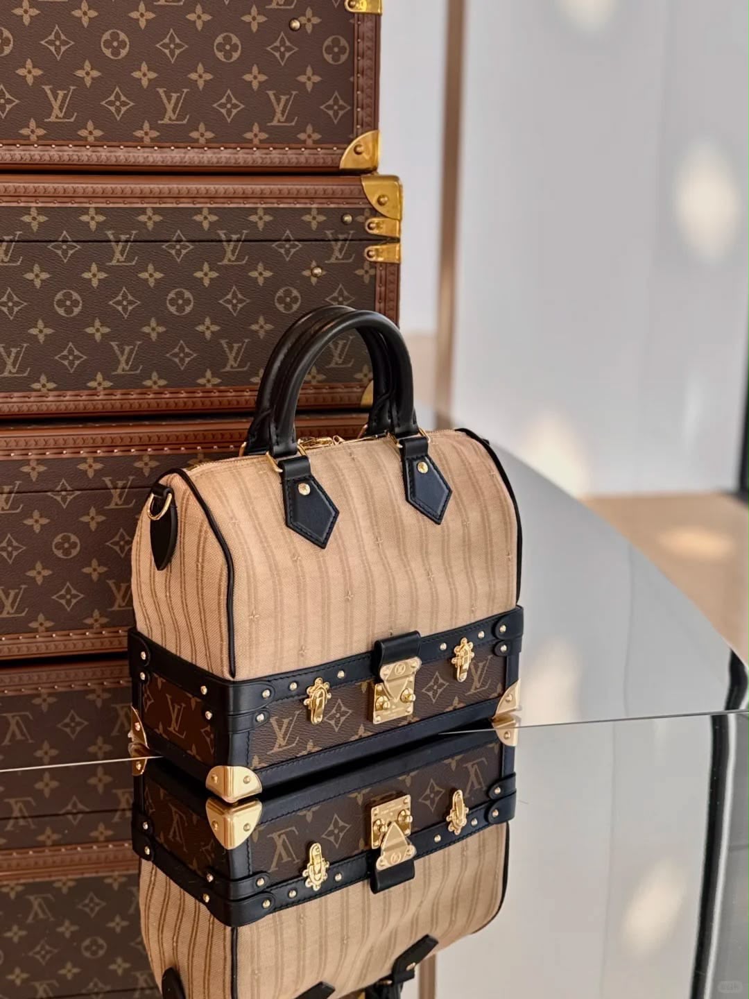 Louis Vuitton Speedy Monogram Jacquard Trunk Top Handle Bag