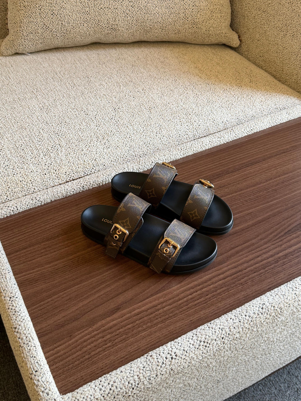 Louis Vuitton  Monogram