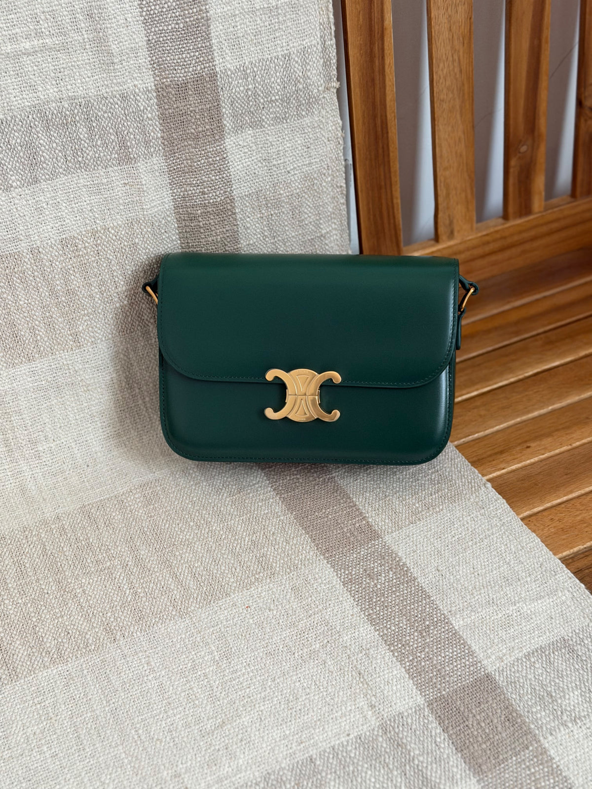 Celine Triomphe Bag in Smooth