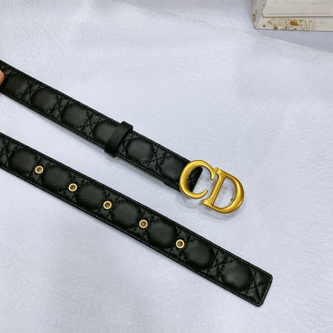 Dior 30 Montaigne CD Belt