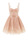 Zimmermann Lace-Trim Fit-and-Flare Mini Dress