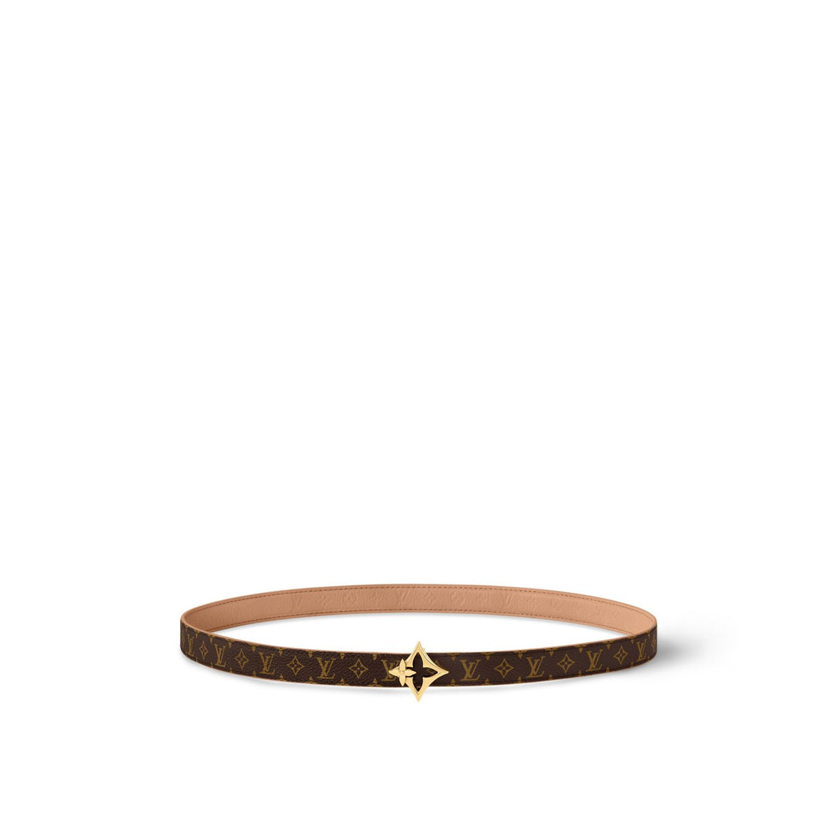 LV Belt 003