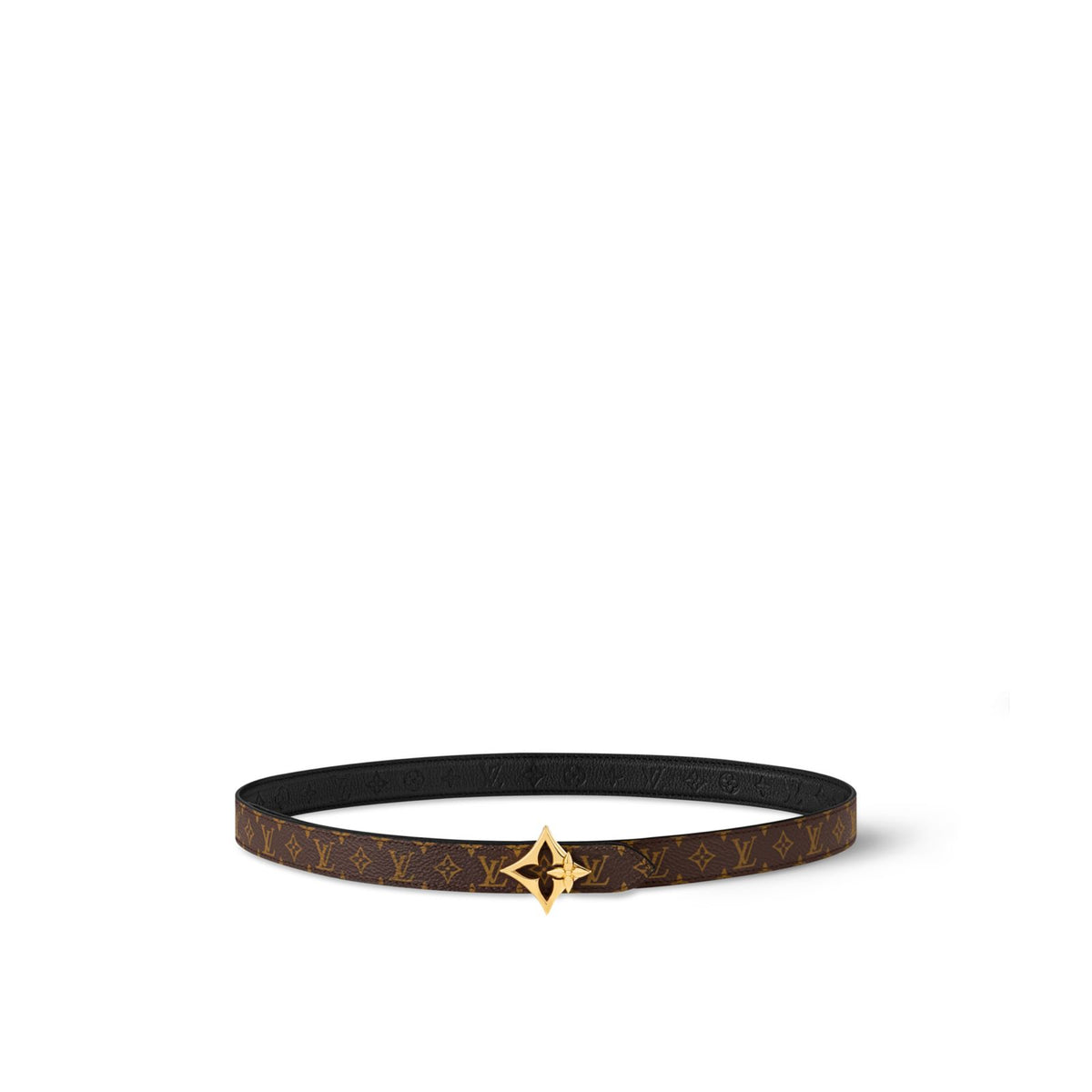 LV Belt 005