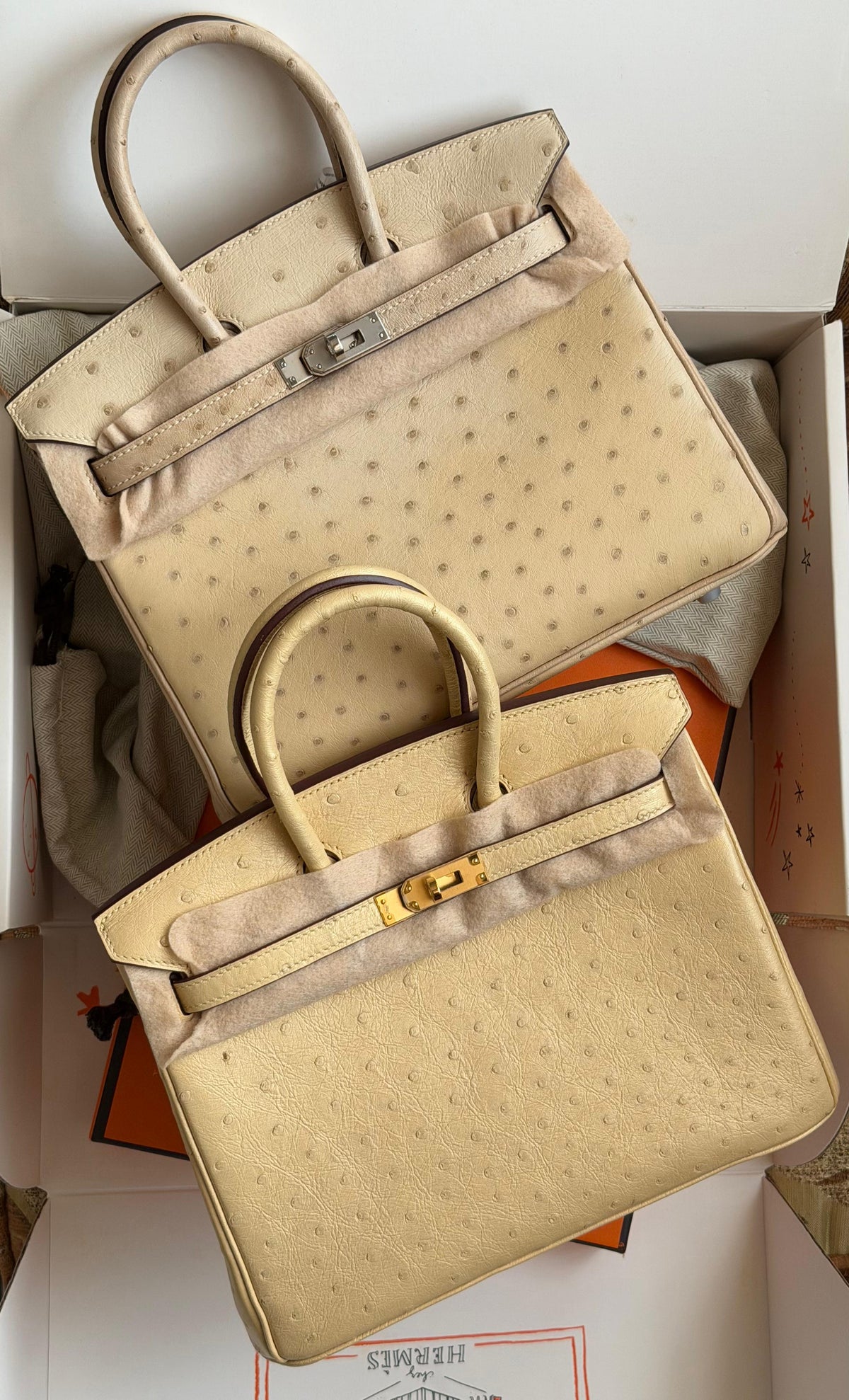 Hermes Birkin 25 cm In ostrich leather