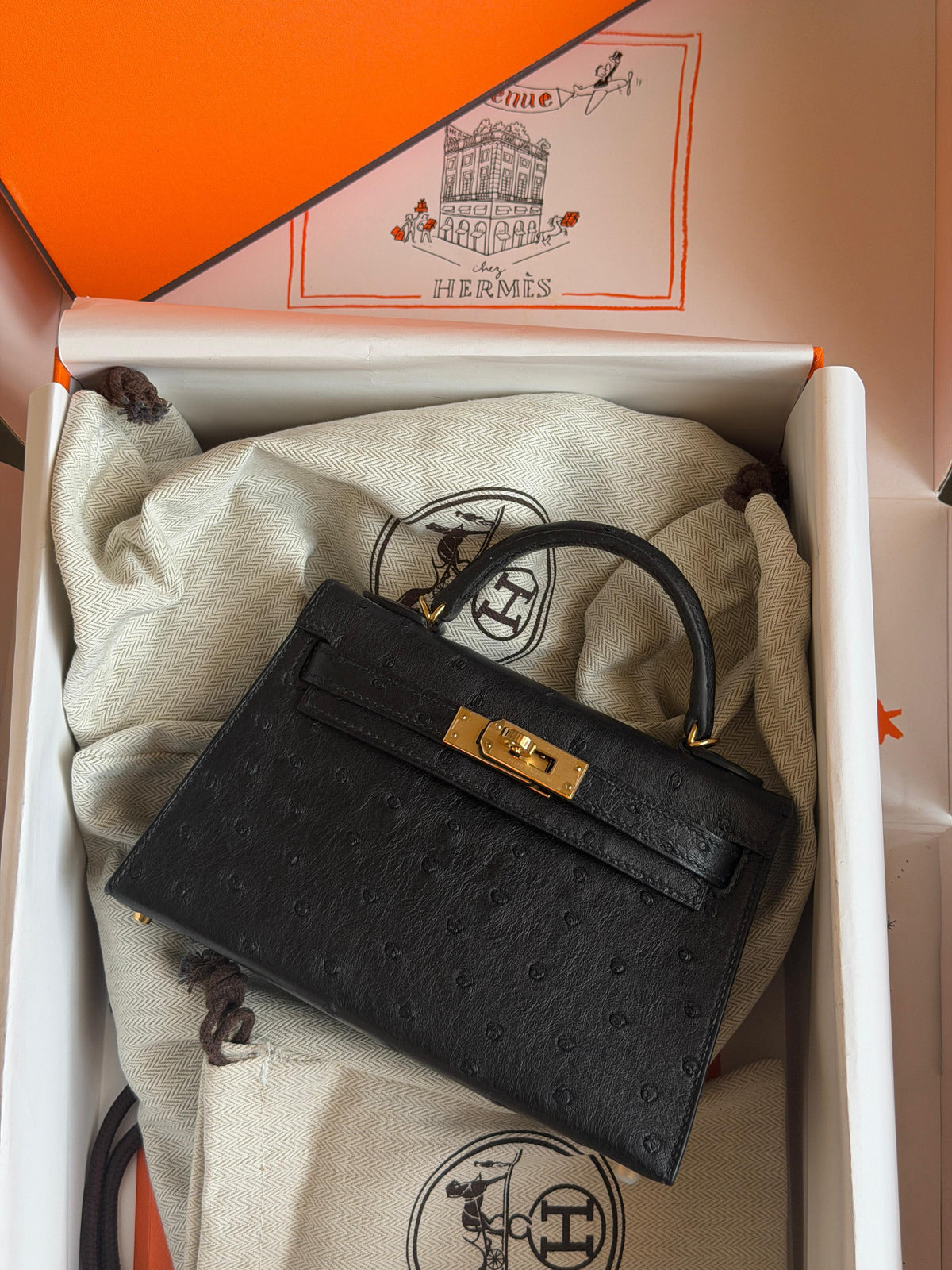 Hermes Mini Kelly In Real Ostrich Leather