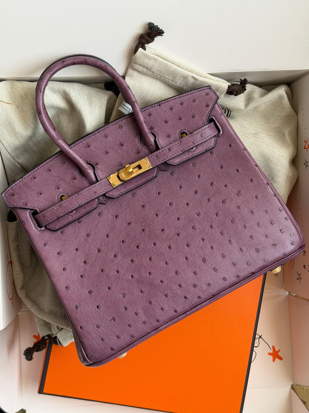 Hermes Birkin 25 cm In ostrich leather