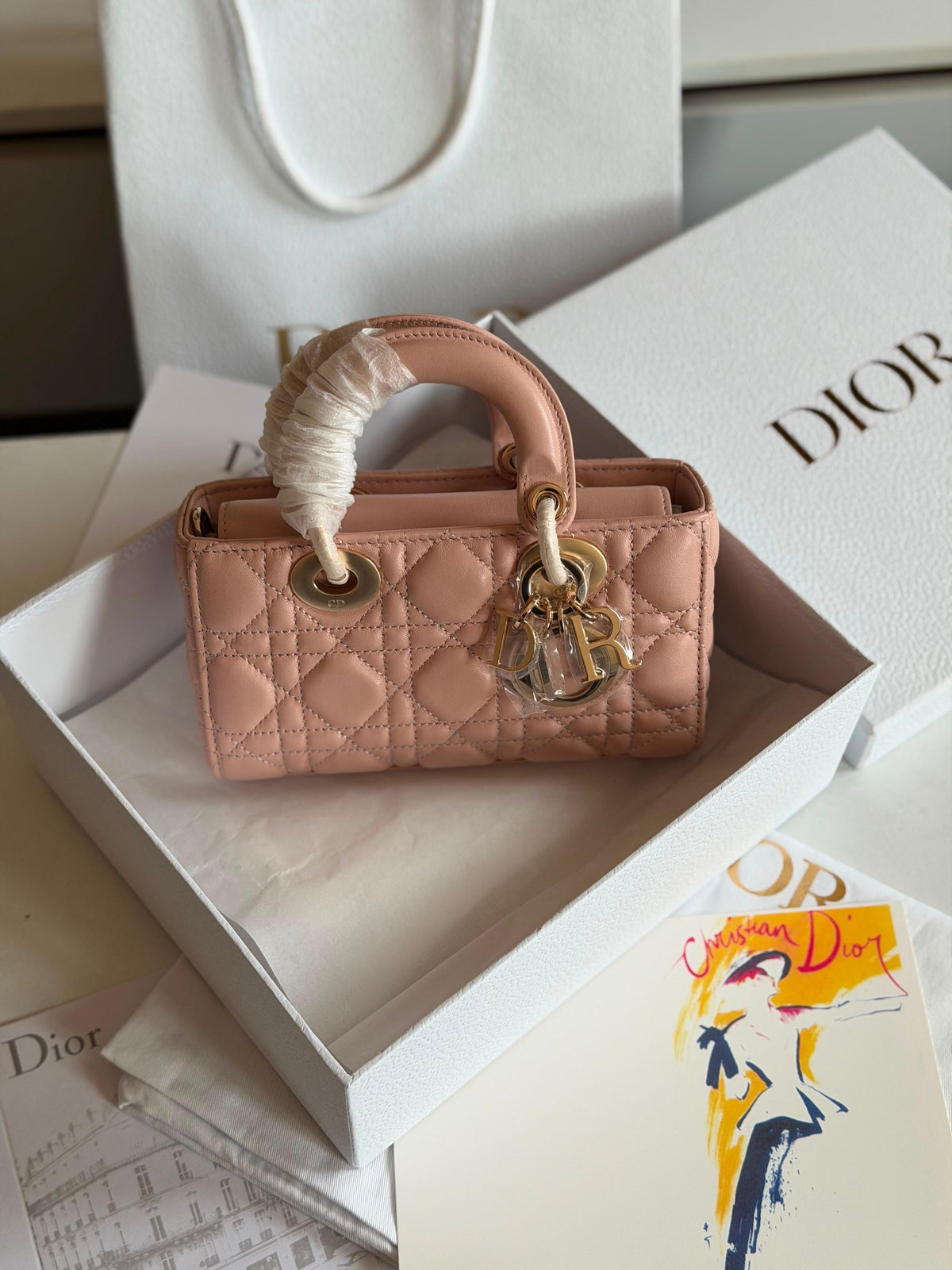Dior Lady D-Joy Micro Bag