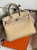 Hermes Birkin 25 cm In ostrich leather