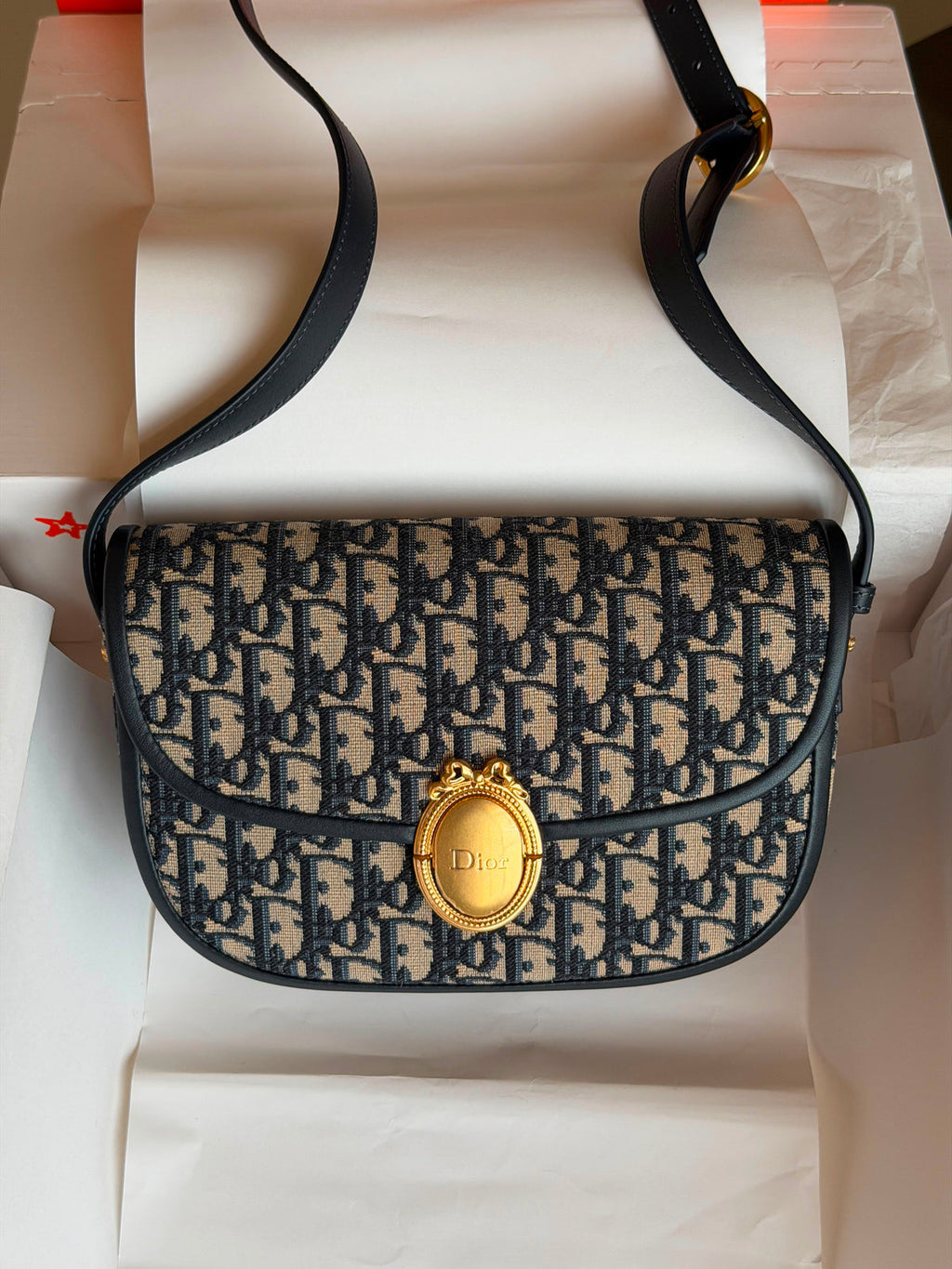 Dior Médaillon Flap Bag